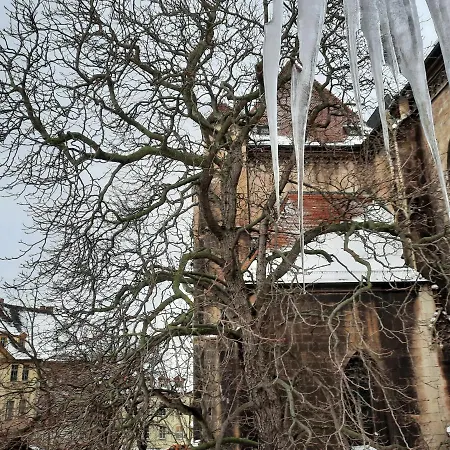 Schulmeisterhaus Naumburg  Zewnętrze zdjęcie